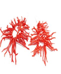 Coral fringe earrings