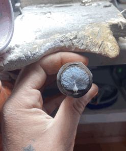 Cameo peacock ring italian handmade ring certified jewel made in Italy cameo ring, peacock ring, peacock jewel, unisex ring, peacock,cameo