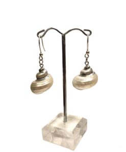 Earrings Shell Turbo with silver 925 bath, earrings with shell, jewels of sea